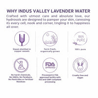 INDUS VALLEY Natural Lavender Water Facial Toner - Chemical Free - 250 ml