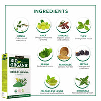 INDUS VALLEY Bio Organic Natural and Pure Indigo Powder | Indigofera tinctoria, Herbal Henna Powder with Hibiscus Powder for Hair Care - (100g*3= 300g)