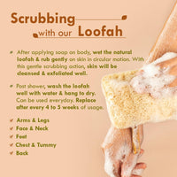 Nat Habit Natural Sun Dried Bath Loofah, Body Sponge & Scrubber for Men & Women | Organic Luffa for Bath Shower Skin Exfoliation (Pack of 2)