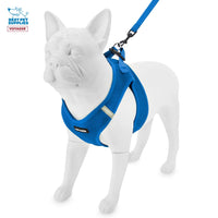 Voyager Step-in Air All Weather Mesh Harness and Reflective Dog 5 ft Leash Combo with Neoprene Handle, for Small, Medium and Large Breed Puppies by Best Pet Supplies - Set (Royal Blue), XL