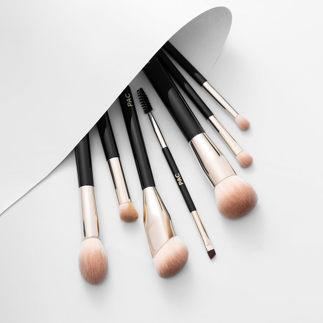 PAC Beginner Basic Face & Eye Brush Kit