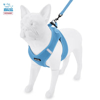 Voyager Step-in Air All Weather Mesh Harness and Reflective Dog 5 ft Leash Combo with Neoprene Handle, for Small, Medium and Large Breed Puppies by Best Pet Supplies - Blue, XXX-Small XXXS (Chest: 10 - 11.5