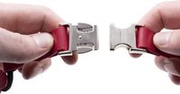 Educator Quick Snap Bungee Dog Collar, Biothane, Waterproof, Odorproof, Easy Connect and Disconnect Clasp and D Ring with Comfort Bungee Loop, Adjustable for Custom Fit, 1-Inch, Red 1