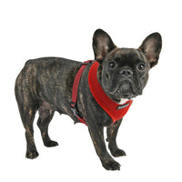 Puppia Soft Dog Harness, Wine, Large (PDCF-AC30-WN-L)