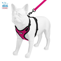 Voyager Step-in Lock Dog Harness w Reflective Dog Leash Combo Set with Neoprene Handle 5ft - Supports Small, Medium and Large Breed Puppies/Cats by Best Pet Supplies - Fuchsia/Black Trim, S
