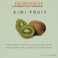 Khadi Natural Kiwi Fruit Lip Balm with Beeswax and Honey| Herbal Lip Balm for Soft Lips | Nourishing Lip Balm for Chapped Lips | Free From Harsh Chemicals | Unisex Formula |Pack of 3 | (5*3) (15 gm)