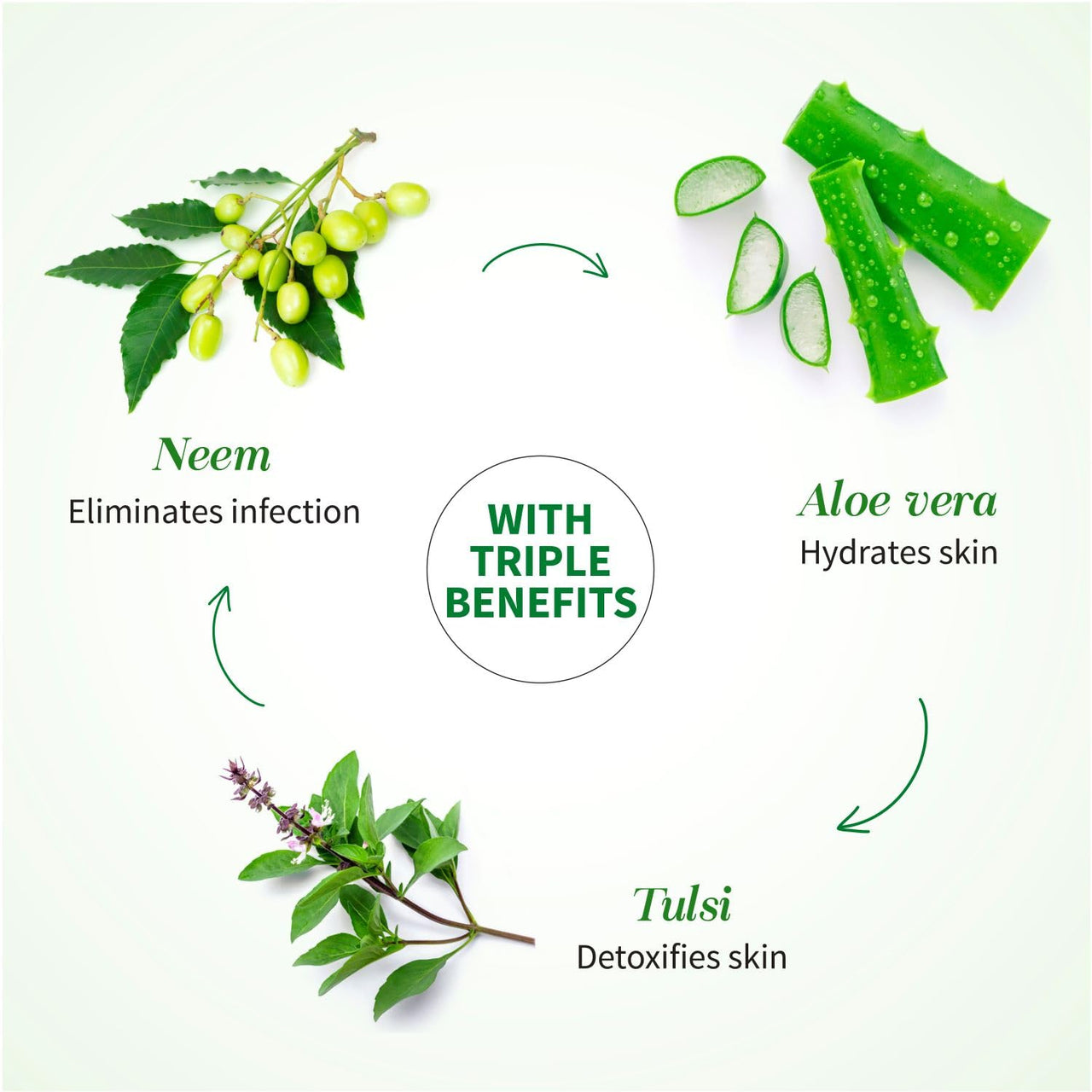 Ayouthveda Aloe Vera Gel 150 gm for Face, Body & Hair | Aloe Vera Skin/Hair Gel With Neem & Tulasi Vitamin Extracts | Calms Sunburn & Promotes Even Skin Tone (Pack Of 3;150ml each)