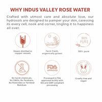 Indus Valley Bio Organic Pure Multipurpose Aloe Vera Gel 175 ml with Green Tea Extract and Depigmentation Gel - 50 ml Natural Cow's Milk Yogurt with Rose Water skin Toner -250 ml Organic Gulab jal