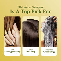 Richfeel Arnica Anti Dandruff Shampoo - Clears Dandruff Flakes, Relieves Excessive Oil, and Soothes Itching | 100 ml