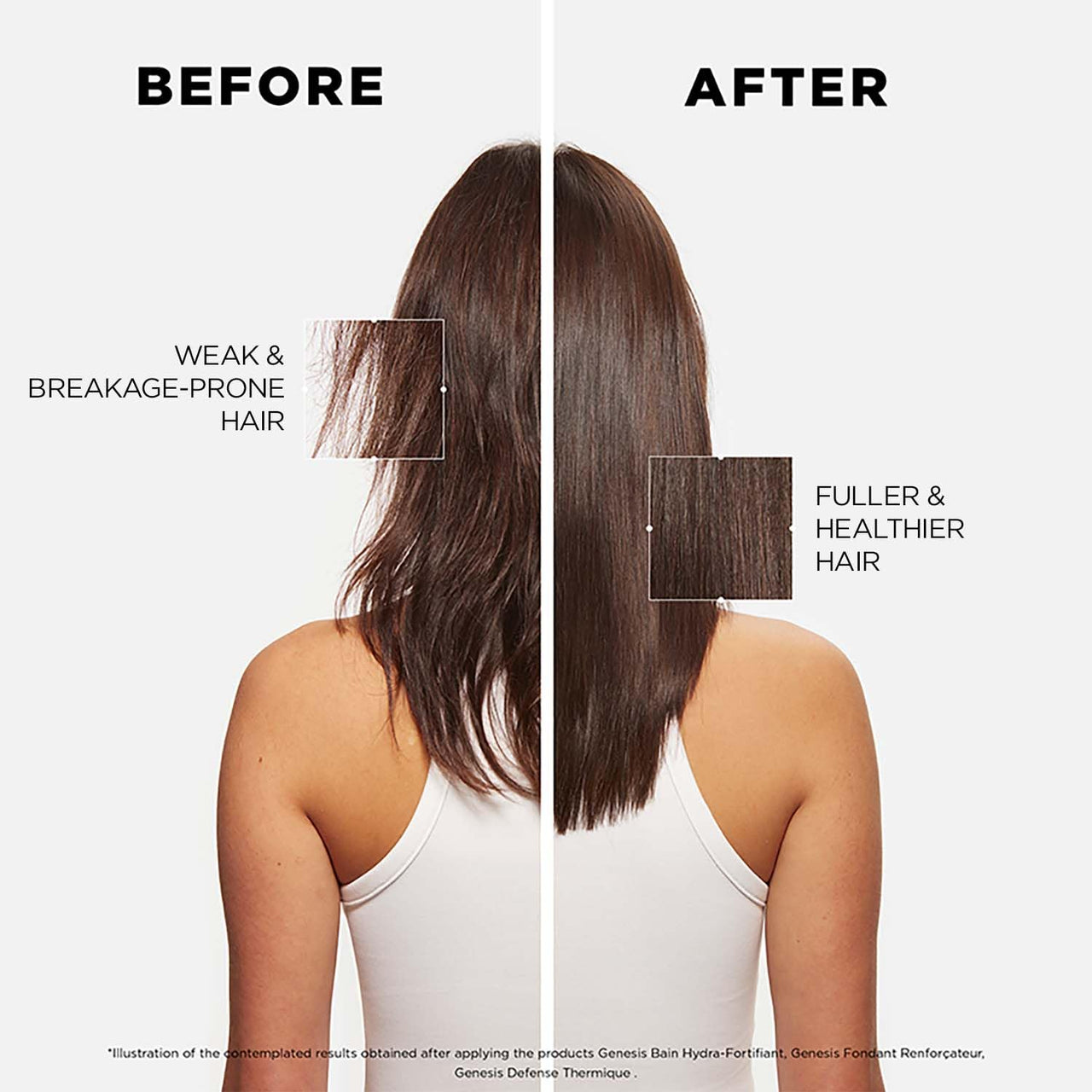 Kérastase Genesis Hydra-Fortifiant Anti Hair Fall Shampoo | For Normal to Oily Weak Hair | Infused with Ginger Root and Edelweiss Native Cells | 250ml