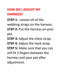 Voyager Step-in Air Cat Harness - All Weather Mesh Step in Vest Harness for Small and Medium Cats by Best Pet Supplies - Set (Turquoise), XXS