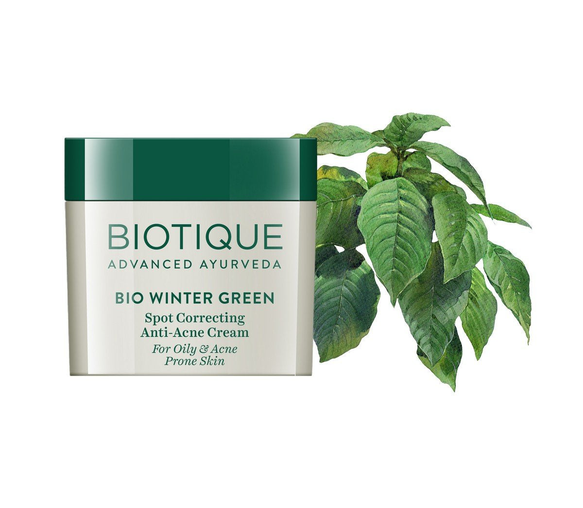 Biotique Bio Myristica Spot Correcting Anti Acne Face Pack, 20g & Bio Winter Green Spot Correcting Anti Acne Cream, 15g