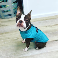 Gooby Puffer Vest Dog Jacket - Turquoise, Large - Ultra Thin Zip Up Wind Breaker with Dual D Ring Leash - Water Resistant Small Dog Sweater Coat - Dog Clothes for Small Dogs Boy or Medium Dogs Large chest (20.75