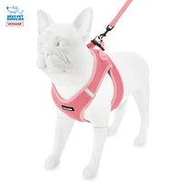 Voyager Step-in Air All Weather Mesh Harness and Reflective Dog 5 ft Leash Combo with Neoprene Handle, for Small, Medium and Large Breed Puppies by Best Pet Supplies - Set (Pink), S Harness Leash Set (Pink) S (Chest: 14.5 - 16