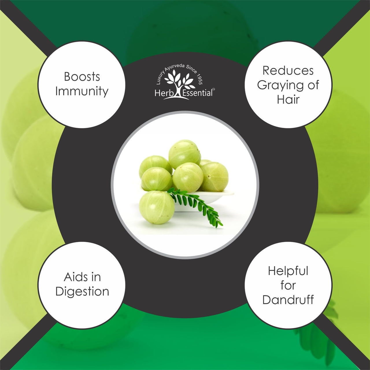 Herb Essential Pure Amla Powder – 100g | 100% Natural Indian Gooseberry | Rich in Vitamin C | Supports Hair Growth, Skin Health & Immunity | Vegan & Paraben-Free