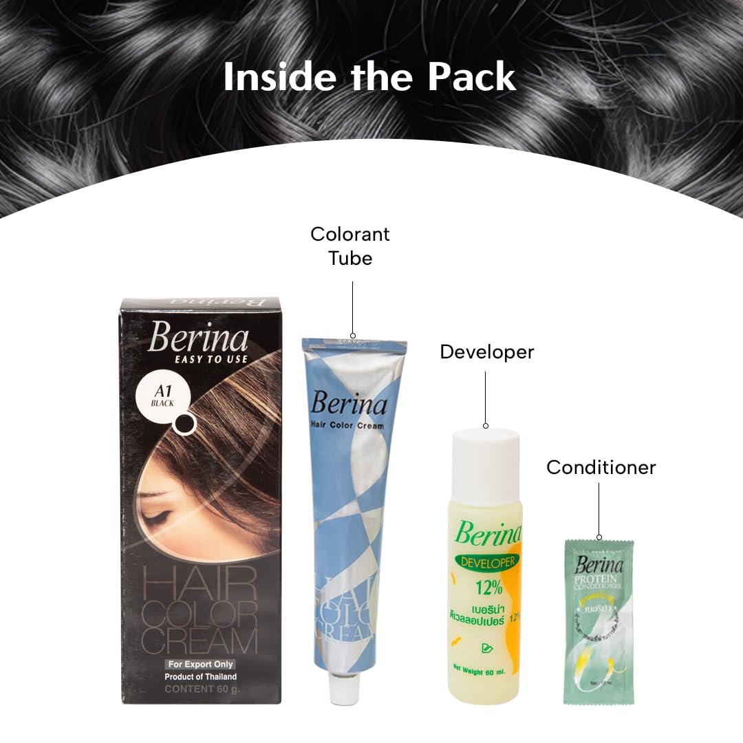 Berina Professional | Permanent Hair Color Cream | 60gm | A01 Black | Long Lasting Color