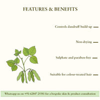 Just Herbs Hair Care & Protection Combo With Soya Protein Shampoo & Neem Wooden Comb, Pack Of 1