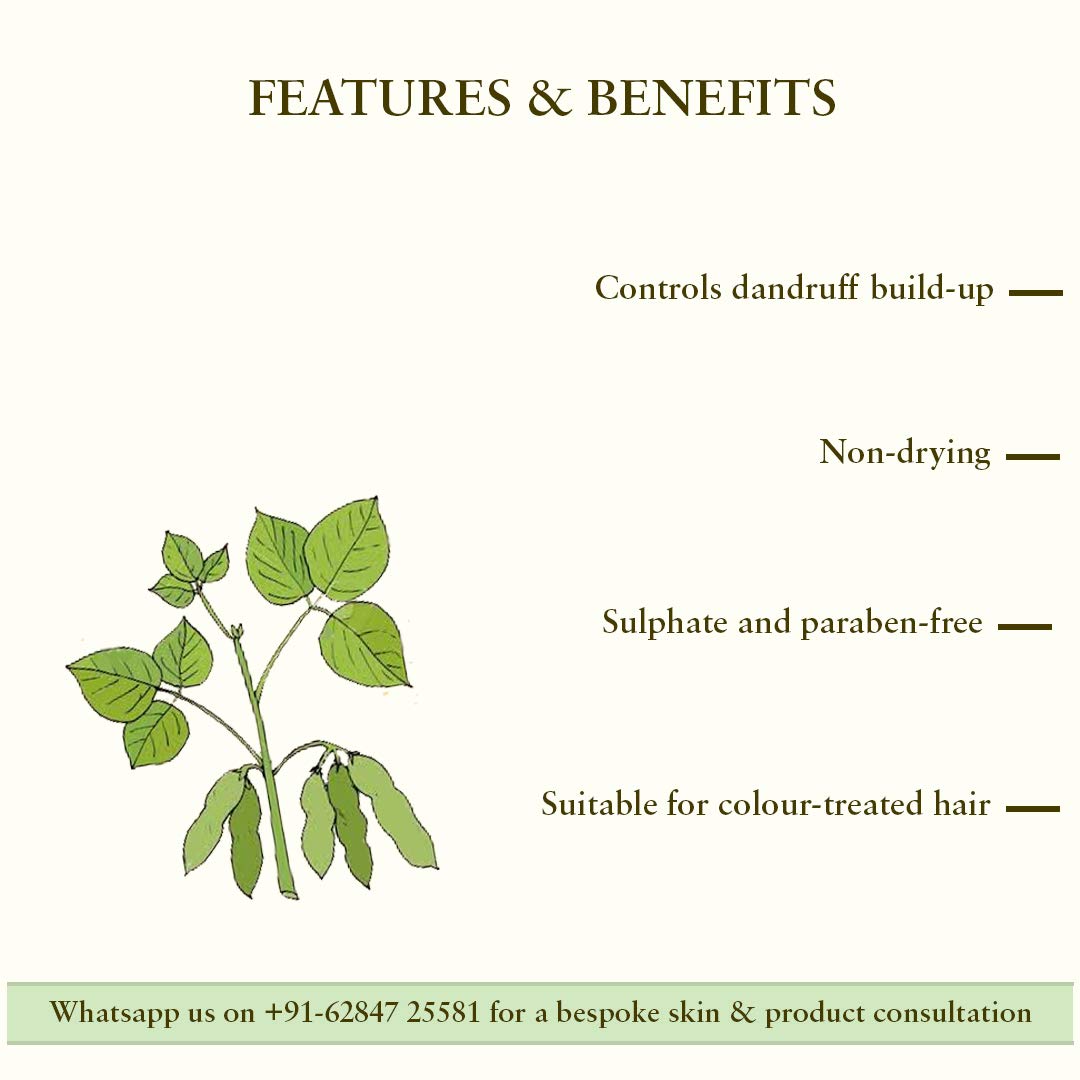 Just Herbs Dandruff Control Ayurvedic Soya Protein Shampoo & Just Herbs Ayurvedic Creamy Matte Lipstick Set For Lip Hydrating & Moisturizing, Suitable For All Indian Tones 38gm (Pack of 16)