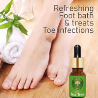 Old Tree 100% Pure & Natural Tea Tree Essential Oil for Skin, Diffusers, Hair, Body, Acne, & Nail care | Premium Therapeutic Grade Tea Tree Oil for Aromatherapy, Stress relief - 30 ml
