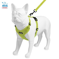 Voyager Step-in Lock Dog Harness w Reflective Dog Leash Combo Set with Neoprene Handle 5ft - Supports Small, Medium and Large Breed Puppies/Cats by Best Pet Supplies - Lime Green, XS Harness Leash Set (Lime Green) XS (Chest: 13 - 16