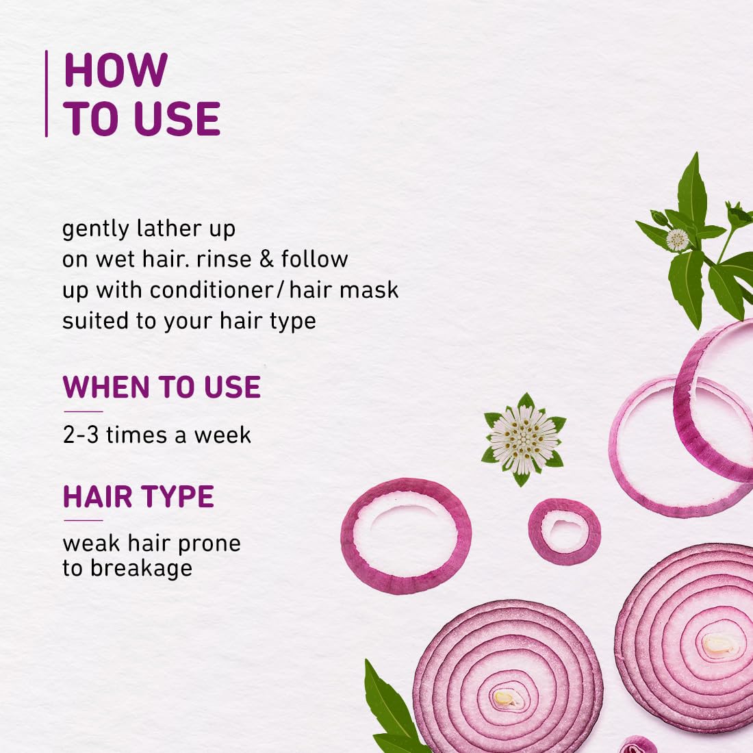 Plum Onion and Biotin Shampoo for Hairfall Control | Paraben Free | Enriched with Onion Extract, Biotin, D-Panthenol | Boosts Scalp Health | 250 ml