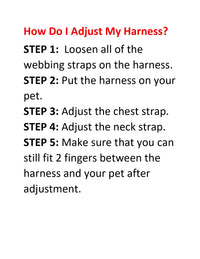 Voyager Step-in Lock Dog Harness w Reflective Dog Leash Combo Set with Neoprene Handle 5ft - Supports Small, Medium and Large Breed Puppies/Cats by Best Pet Supplies - Baby Blue, XS