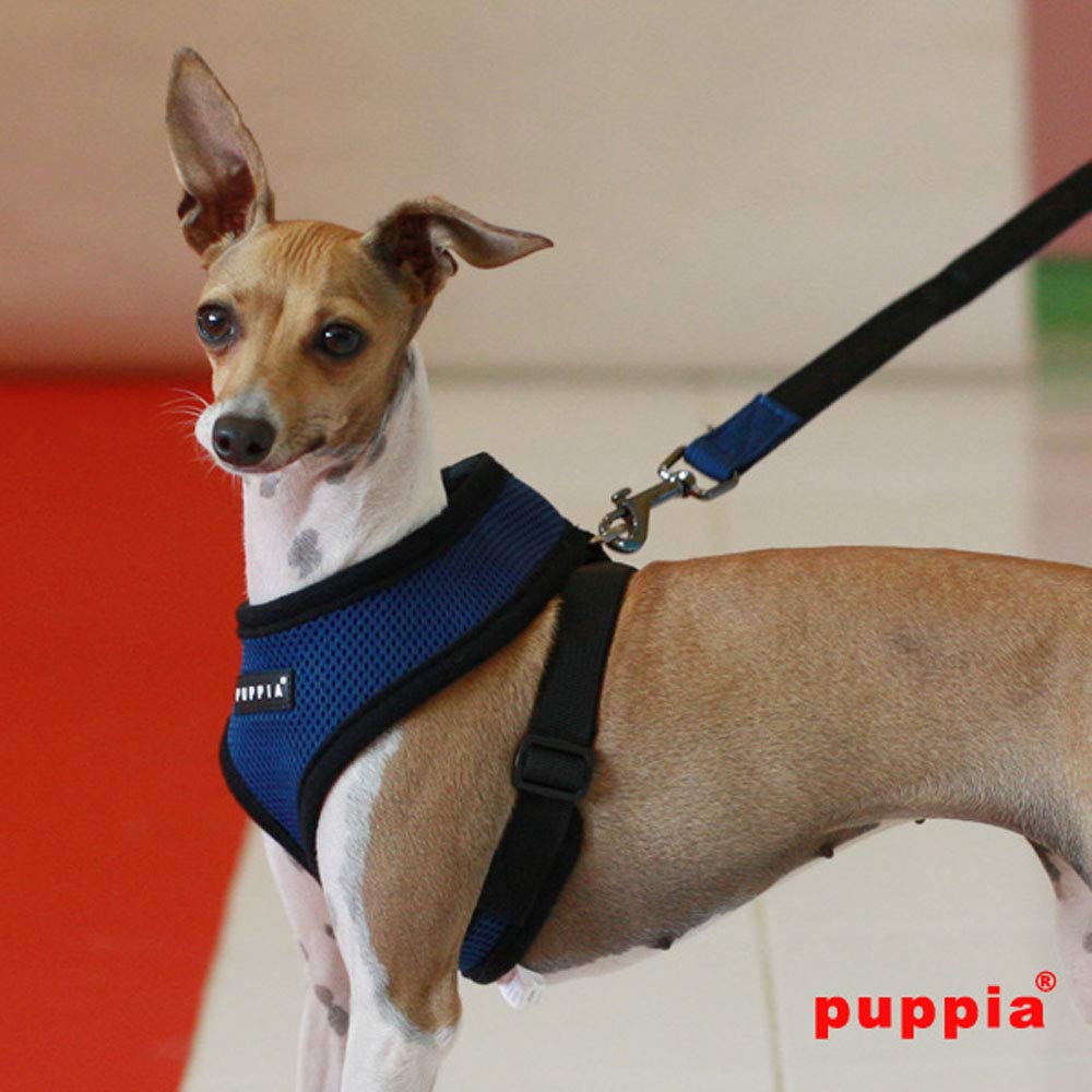 Puppia Soft Dog Harness No Choke Over-The-Head Triple Layered Breathable Mesh Adjustable Chest Belt and Quick-Release Buckle, Royal Blue, X-Large