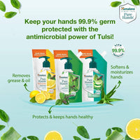 Himalaya Pure Hands Purifying Tulsi Hand Wash Pump 250 ml (Pack of 2)