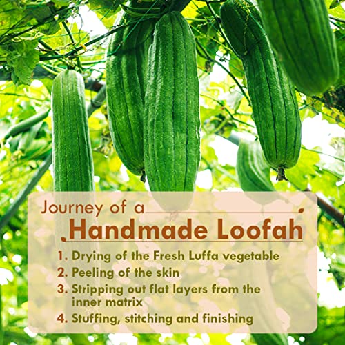 Nat Habit Natural Sun Dried Bath Loofah, Body Sponge & Scrubber for Men & Women | Organic Luffa for Bath Shower Skin Exfoliation (Pack of 2)