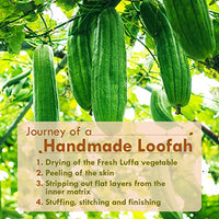 Nat Habit Natural Sun Dried Bath Loofah, Body Sponge & Scrubber for Men & Women | Organic Luffa for Bath Shower Skin Exfoliation (Pack of 2)