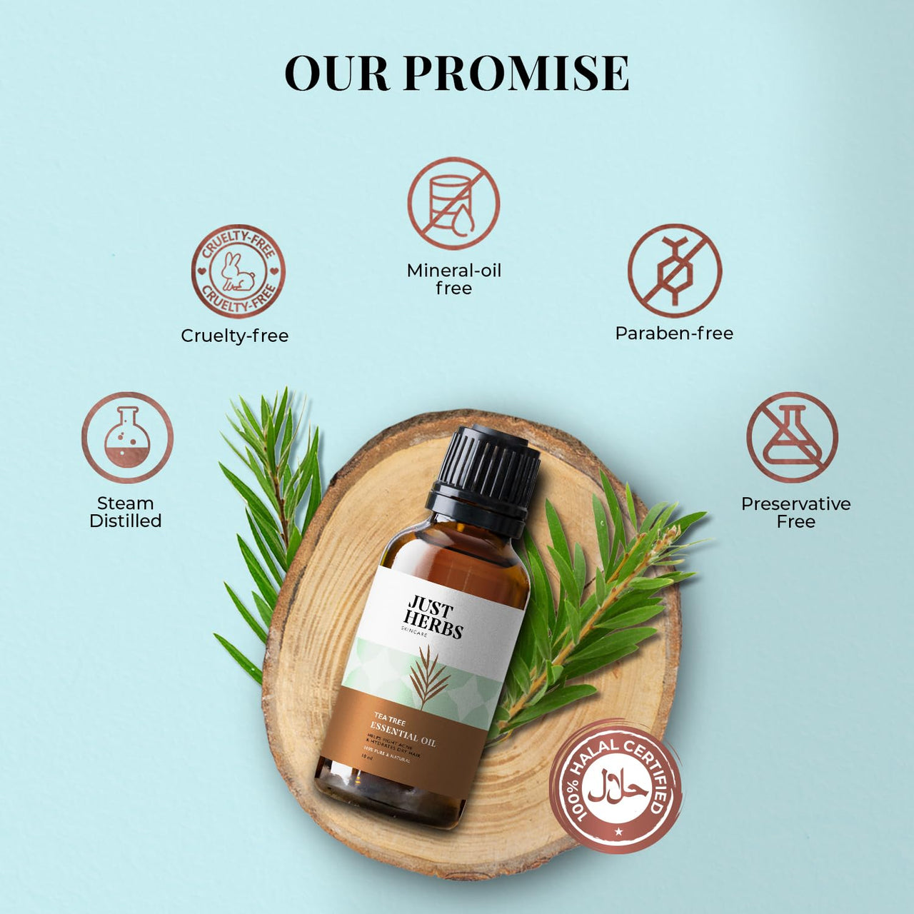 Just Herbs Tea Tree Steam 100% Pure Distilled Essential Oil for Hair | Skin | Fights Acne | Exfoliates Skin | Aromatherapy Relives Stress for Men and Women (10 ml)