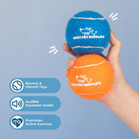 Best Pet Supplies Squeaky Tennis Balls for Dogs, 4-Pack, Heavy-Duty Interactive Pet Toys for Throwing and Fetching, Supports Exercise and Natural Behavior Training, Durable - Large