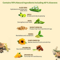 INDUS VALLEY Damage Free Natural Gel Hair Colour For Women|Ammonia & Ppd Free Organic Hair Colour With 100% Grey Coverage, Long Lasting Conditioning Hair Color|Black 1.0-Pack Of 3 (3X220 = 660 Ml)