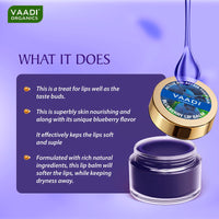 Vaadi Herbals Lip Balm, Blueberry, 10g