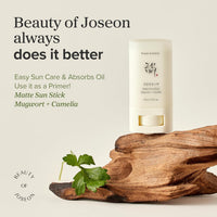[Beauty of Joseon] Matte Sun Stick: Mugwort + Camellia (18g) – SPF 50 PA++++, Korean Sunscreen Stick for Oily & Combination Skin, Shine Control, No White Cast