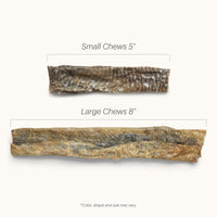 The Honest Kitchen Ocean Chews Crispy Cod Fish Skins Dog Treats, 2.75 oz (Beams)