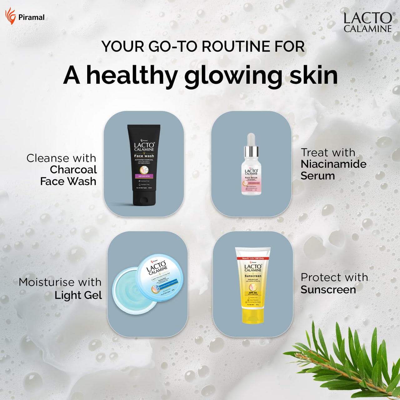 Lacto Calamine Activated Charcoal Face Wash with Aloe Vera & Tea Tree Extract for Deep Skin Detox. Removes impurities and fights blackheads & whiteheads. No Parabens, No Sulphates - 100 ml Pack of 1