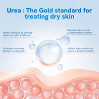 Be Bodywise 20% Urea Foot Cream Roll On 50ml | For Dry & Cracked Heels | With 2% Lactic Acid, Olive Oil & Vitamin E | Helps Repair and Moisturise Cracked Heels - Fresh