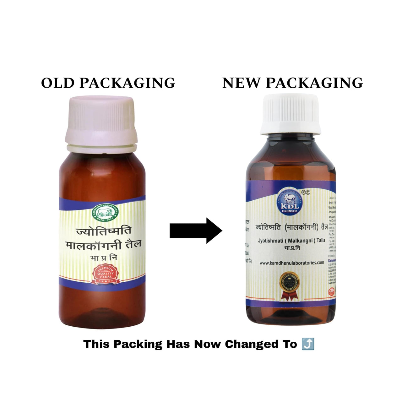 Kamdhenu Laboratories Jyotishmati Malkangani Taila - 50 ml | For men and women | Jyotishmati oil for skin Celastrus paniculatus Cold pressed oil