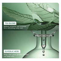 Biolage Scalp Sync Clarifying Shampoo, Soothed and Hydrated Scalp for up to 72 hours*, Enriched with Fermented Tea & Glycolic Acid, for Men and Women, Deep Scalp Treatment, Vegan & Cruelty-Free