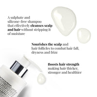 iCosmetiques Sulphate Free Shampoo |Reduces Hair Fall & Frizz |Keratin, Proline, B5 |Strengthens Roots | Silicone and Paraben Free |Unisex Total Care Formula |250ml