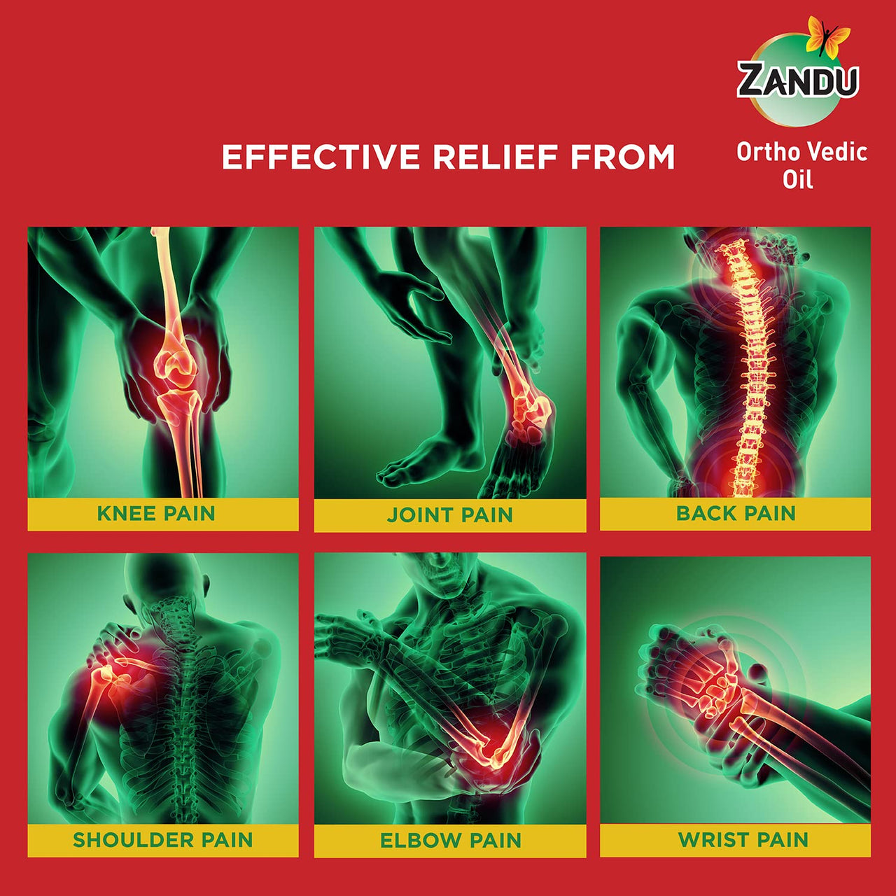Zandu Ortho Vedic Oil - 60ml | Ayurvedic Oil for Relief from Knee and Joint Pain,Muscle Pain, Osteoarthritis Visible Improvement in 7 days