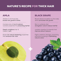 Joy Shining Black Hair Shampoo with Amla & Black Grapes (340ml x 2) | Controls Hair Fall & Stimulates Hair Growth | Paraben Free | For Men & Women