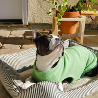 Gooby Stretch Fleece Vest Dog Sweater - Grass Green, X-Small - Warm Pullover Fleece Dog Jacket - Winter Dog Clothes for Small Dogs Boy - Dog Sweaters for Small Dogs to Dog Sweaters for Large Dogs X-Small Length (7