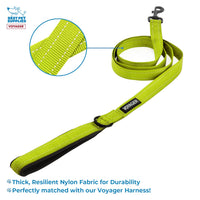 Voyager Step-in Air All Weather Mesh Harness and Reflective Dog 5 ft Leash Combo with Neoprene Handle, for Small, Medium and Large Breed Puppies by Best Pet Supplies - Set (Lime Green), M