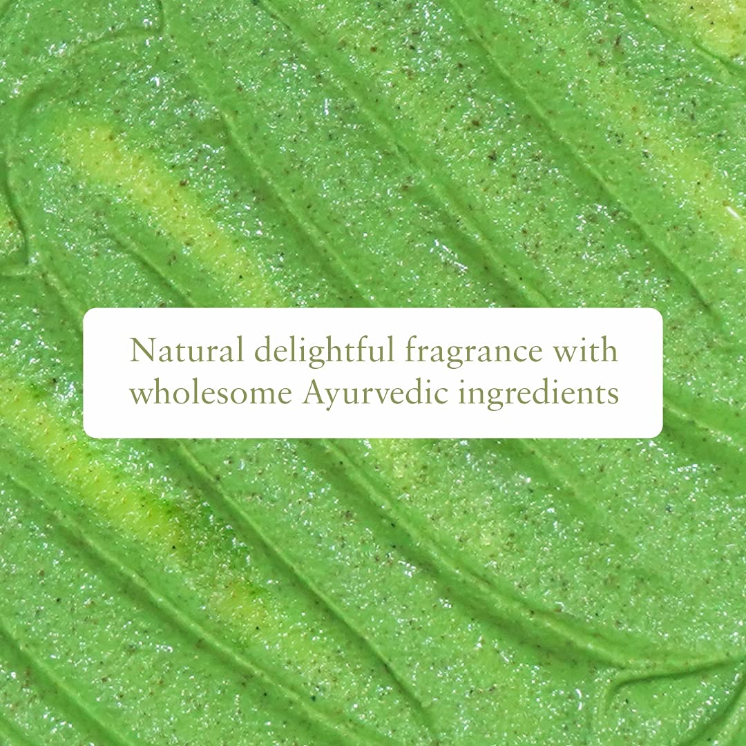 Just Herbs Ayurvedic Mint Lip Scrub For Dry,Chapped & Smoker Lips - SLS & Paraben Free 15gm