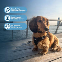 Voyager Step-in Air Dog Harness - All Weather Mesh Step in Vest Harness for Small and Medium Dogs and Cats by Best Pet Supplies - Harness (Black), M (Chest: 16-18