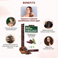 INDUS VALLEY 100% Natural Shikakai Powder | Acacia concinna for skin and hair care - Set of 4 (400g)