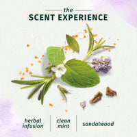 Herbal Essences bio:renew Rosemary and Herbs SHAMPOO, 400ml, No Parabens No Colorants