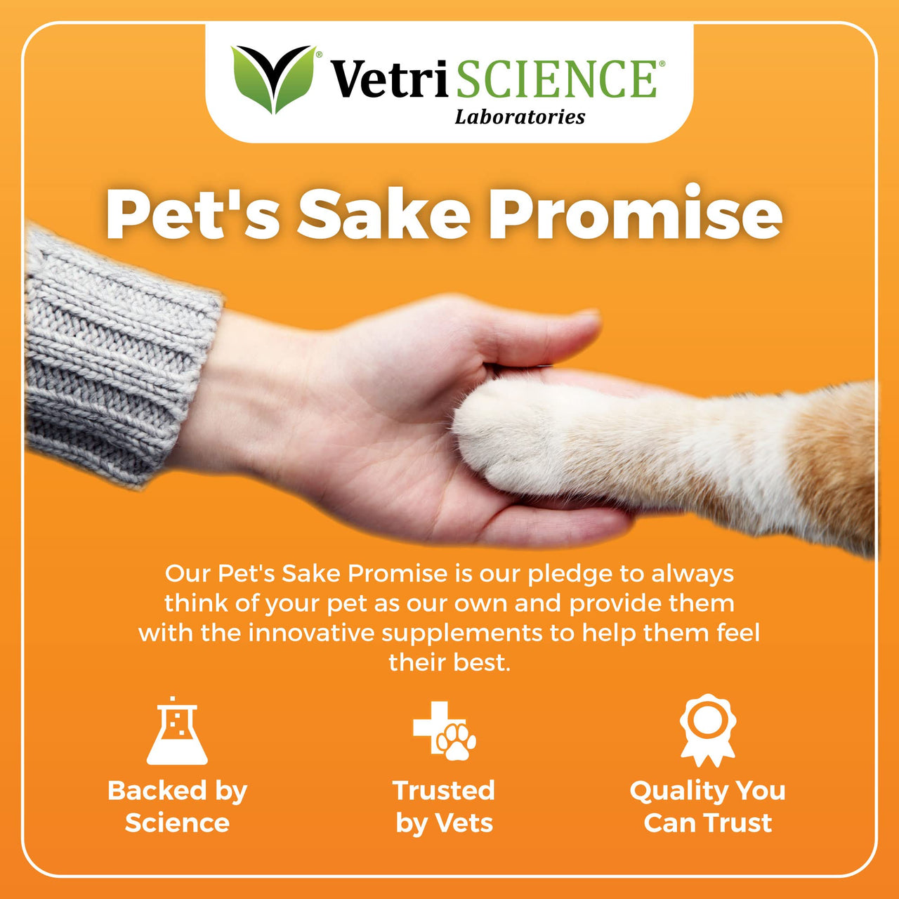 VetriScience GlycoFlex Plus, Clinically Proven Joint Support Cat Supplements - Joint Health Supplement with Glucosamine, Chondroitin, MSM, and DMG - 30 Chews, Fish Flavor Glycoflex Plus Chondroitin